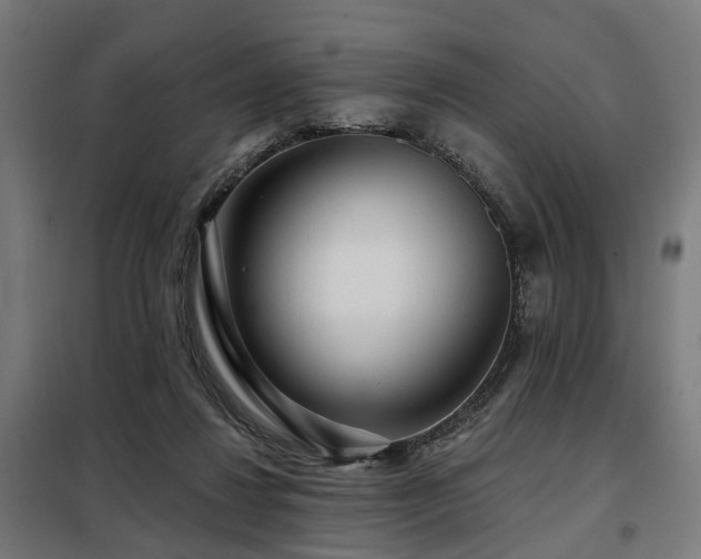 X0000098070260200804041131