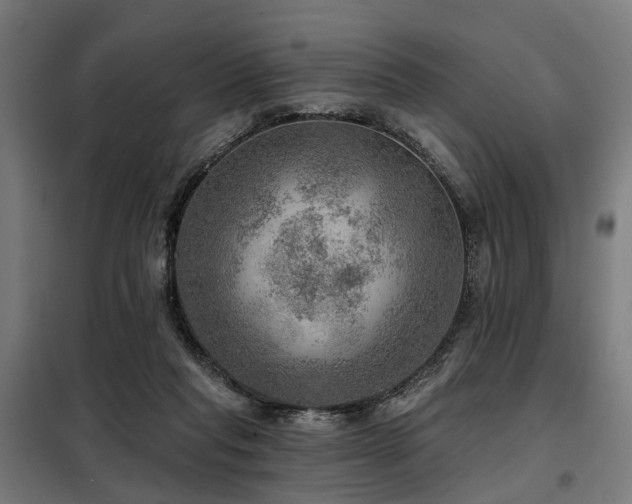 X0000098070261200804041132