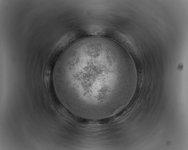 X0000098070263200804041132