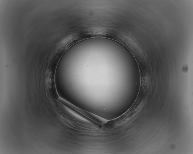 X0000098070264200804041132