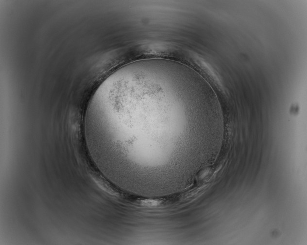 X0000098070265200804041132