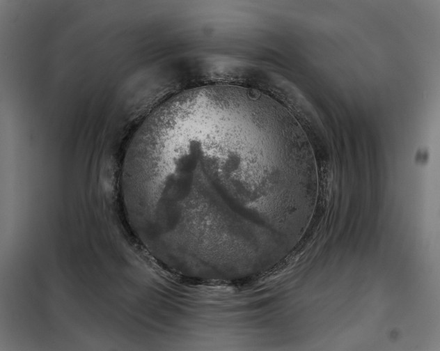 X0000098070266200804041132