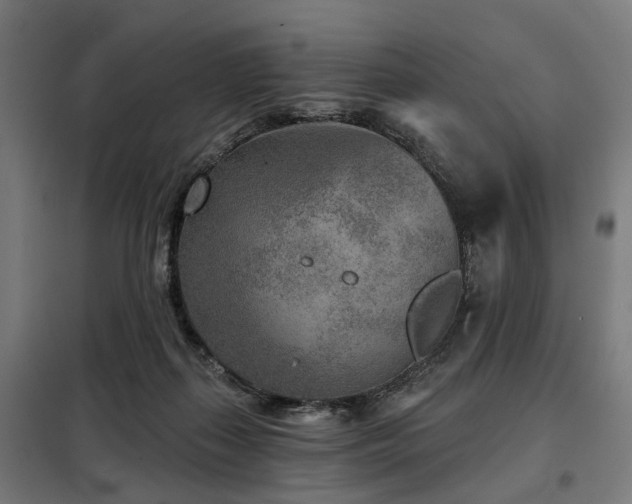 X0000098070267200804041132