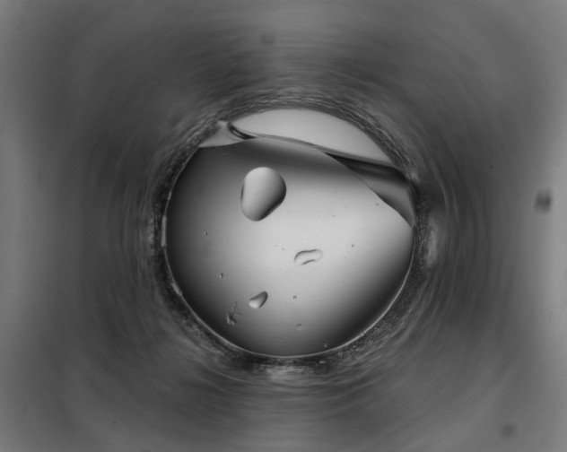 X0000098070268200804041132