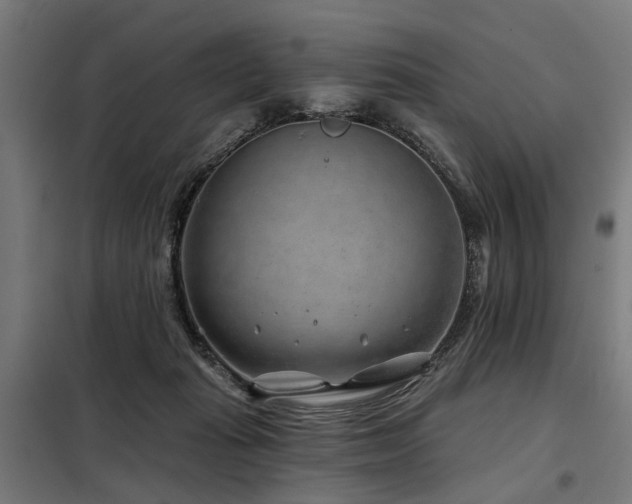 X0000098070269200804041132