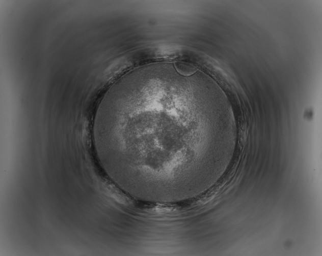 X0000098070270200804041132