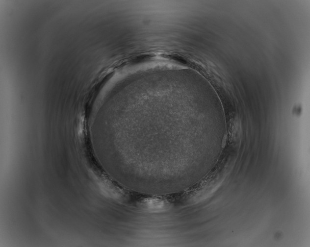 X0000098070272200804041132