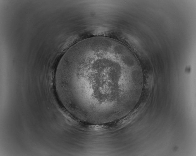 X0000098070273200804041132