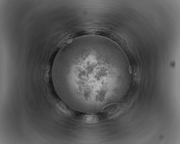 X0000098070275200804041132