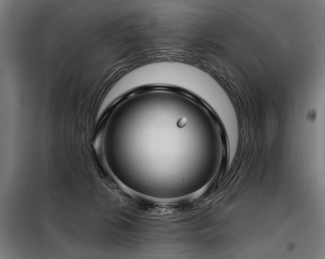 X0000098070276200804041132