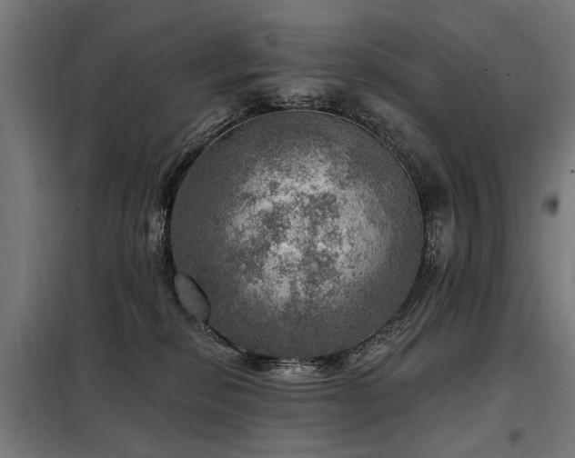 X0000098070278200804041132