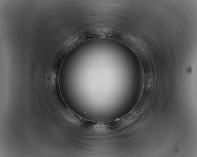 X0000098070279200804041132