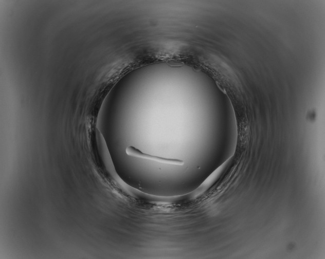 X0000098070280200804041132