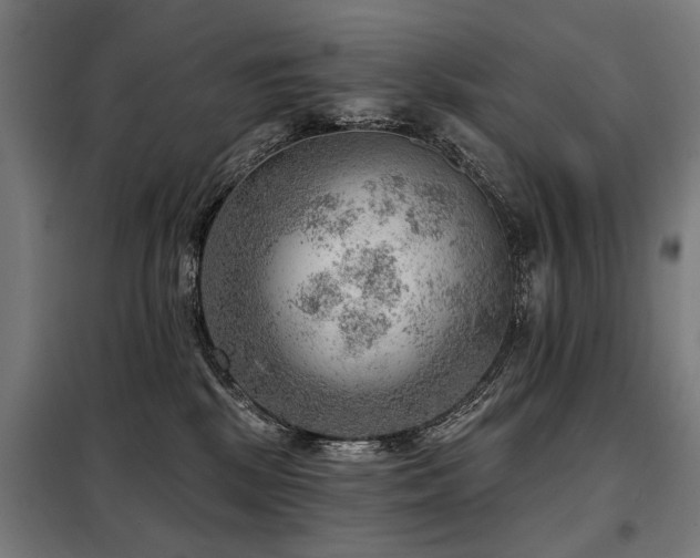 X0000098070281200804041132