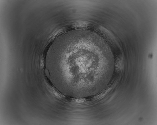 X0000098070282200804041132