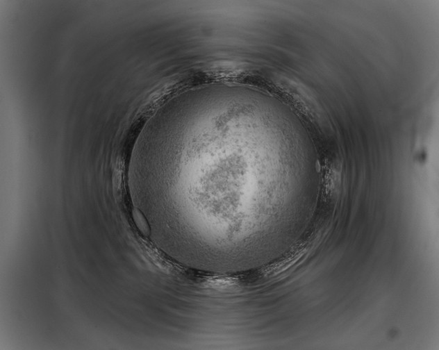 X0000098070283200804041132