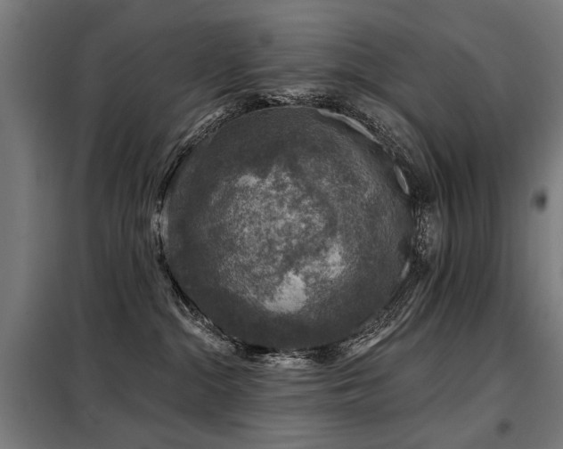 X0000098070284200804041132