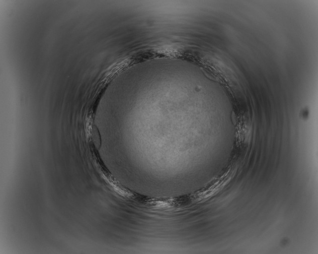 X0000098070285200804041132