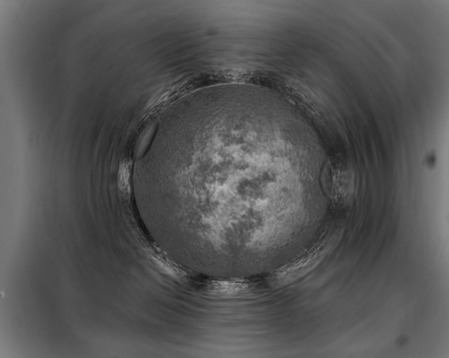 X0000098070286200804041132