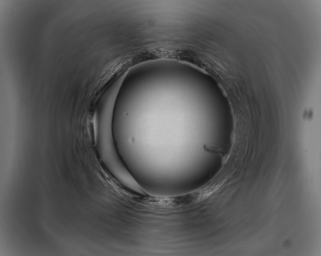 X0000098070288200804041132