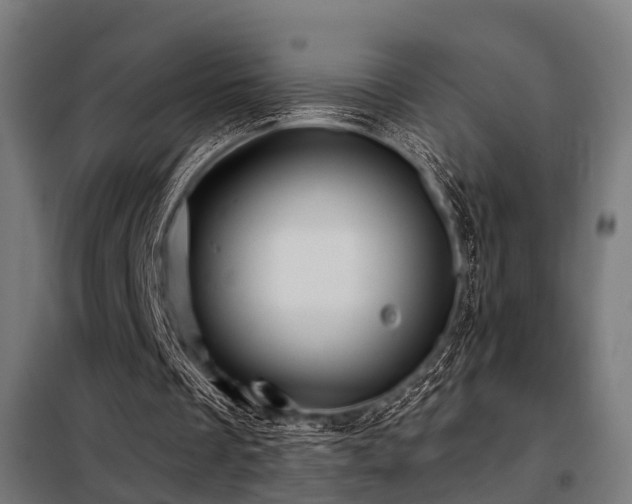 X0000098070289200804041131