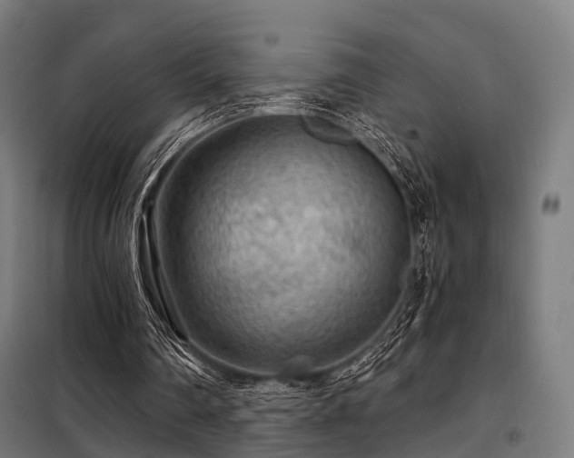 X0000098070290200804041131