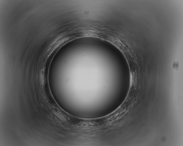 X0000098070291200804041131