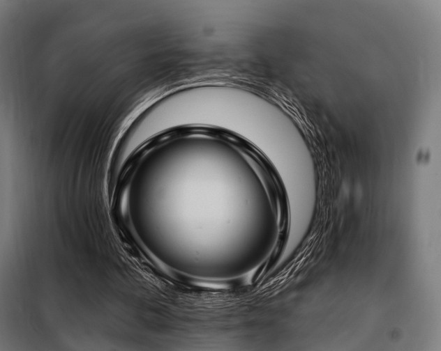 X0000098070292200804041131