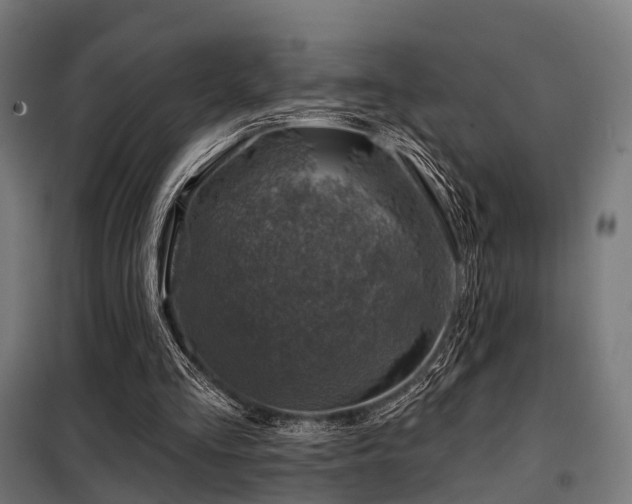 X0000098070293200804041131