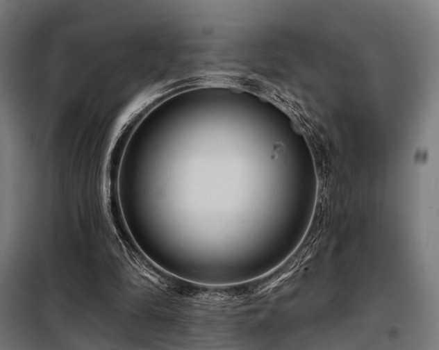 X0000098070294200804041131