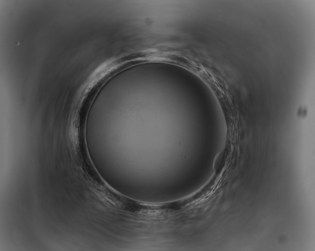 X0000098070295200804041131