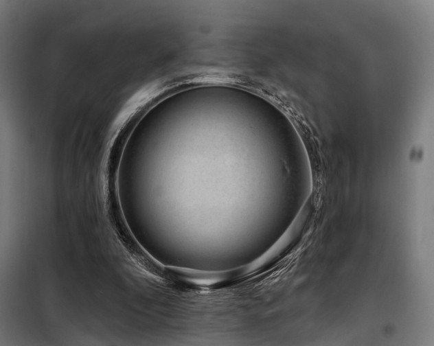 X0000098070296200804041131