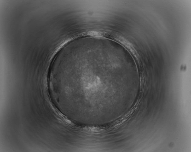 X0000098070297200804041131