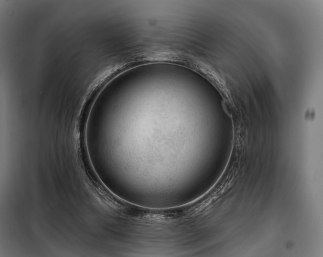 X0000098070298200804041131