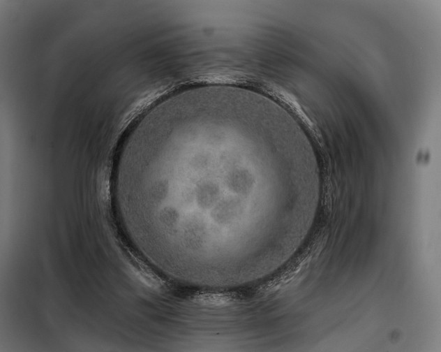 X0000098070299200804041131