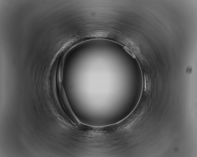 X0000098070300200804041131