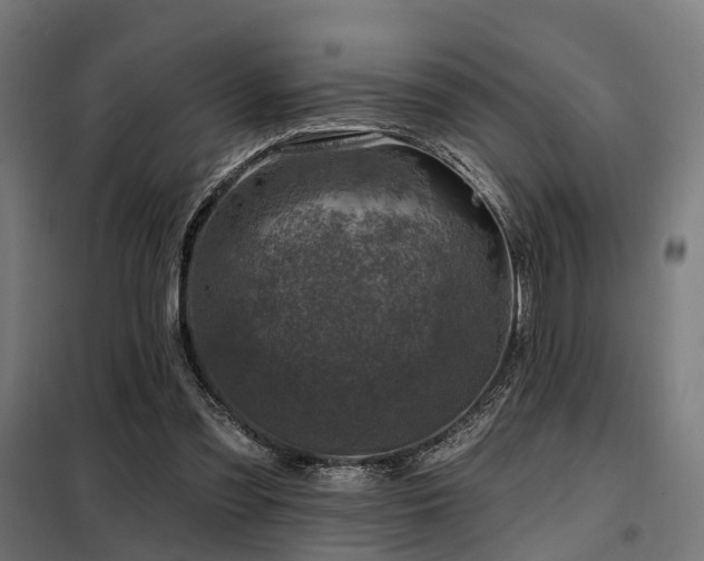 X0000098070301200804041131