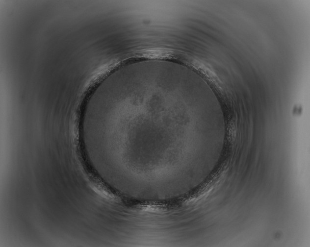 X0000098070303200804041131