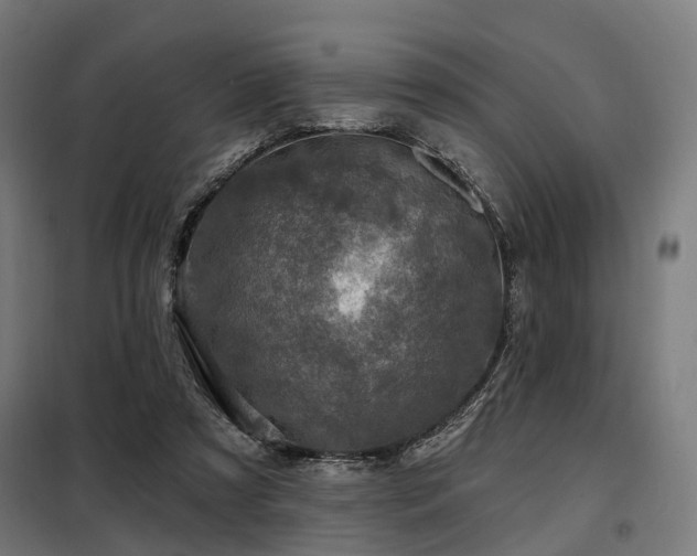 X0000098070305200804041131