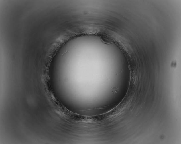 X0000098070307200804041131