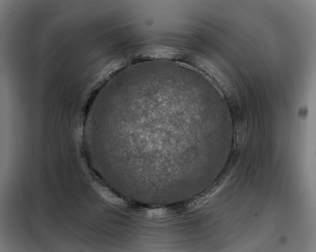 X0000098070309200804041131