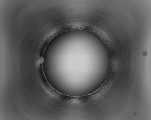 X0000098070310200804041131