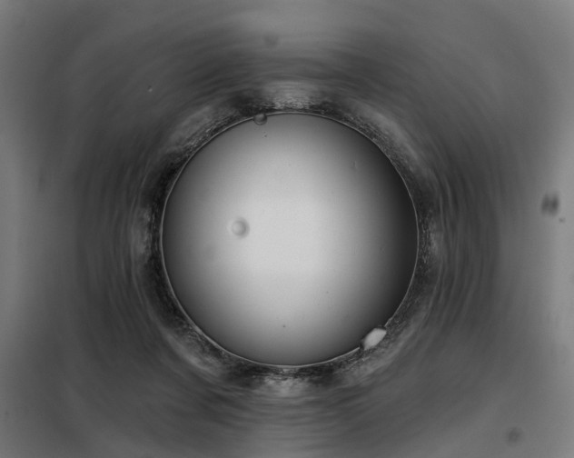 X0000098070311200804041131