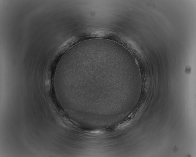 X0000098070312200804041131