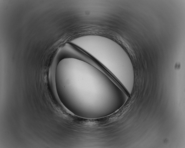 X0000098070313200804041131