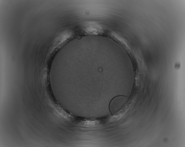 X0000098070314200804041131