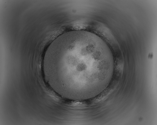 X0000098070315200804041131