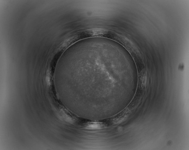 X0000098070316200804041131