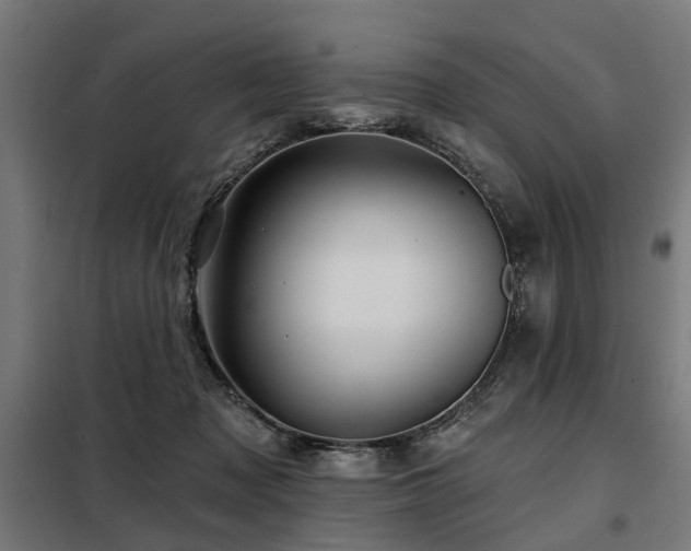 X0000098070317200804041131