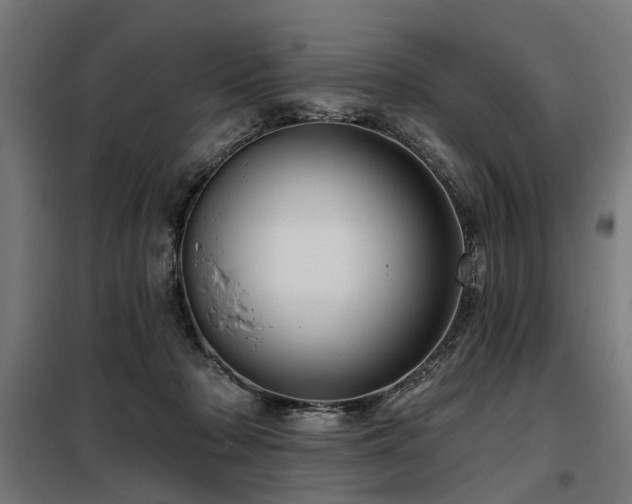 X0000098070318200804041131